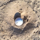 Image for article titled Shooting Challenge: Cellphone Gallery Part 5